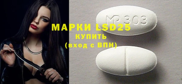 индика Алексин