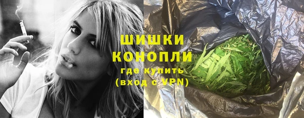 шишки Алзамай