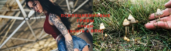 бошки Абдулино