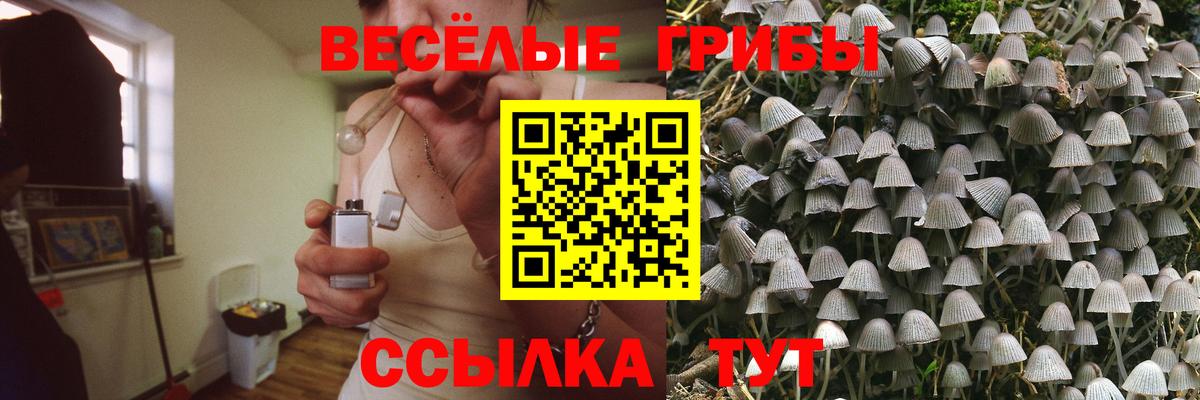Череповец  Псилоцибиновые грибы MAGIC MUSHROOMS  Вход с VPN 
